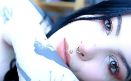 sainte nitouche perfekte freie bilder