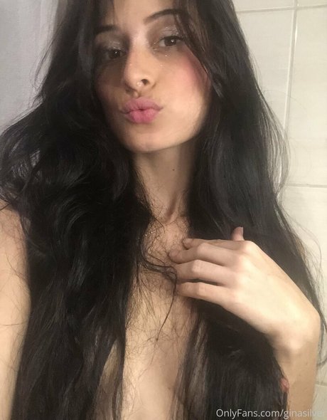 ginasilver top freie bild