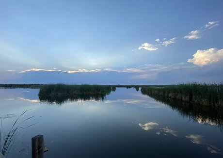 asiatische teen pussy onlyfans heiße kunst fotos