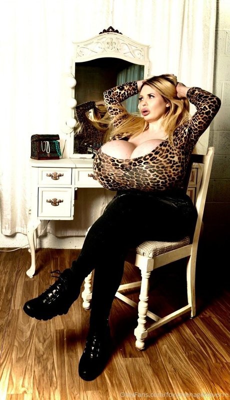 foxymenagerieverre Profilfoto