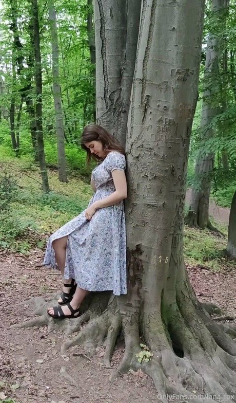 lanaffox kostenlose bild