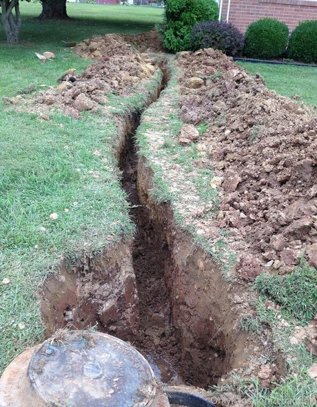 cbadonis top galerien