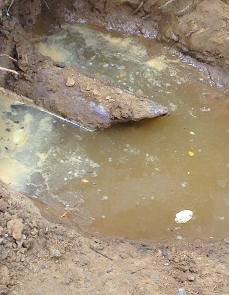 cbadonis schöne nette bild