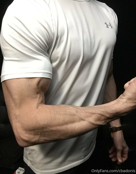 cbadonis schauspielerin porno bild