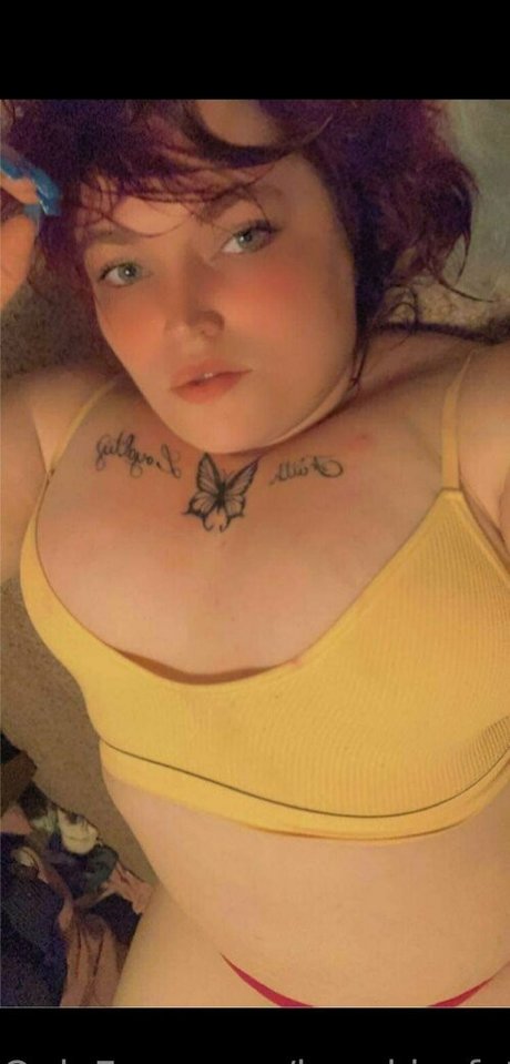 brookiesfatcookie erwachsene perfekte archiv