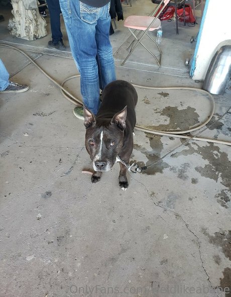 weldlikeababe kostenlose nackt fotos