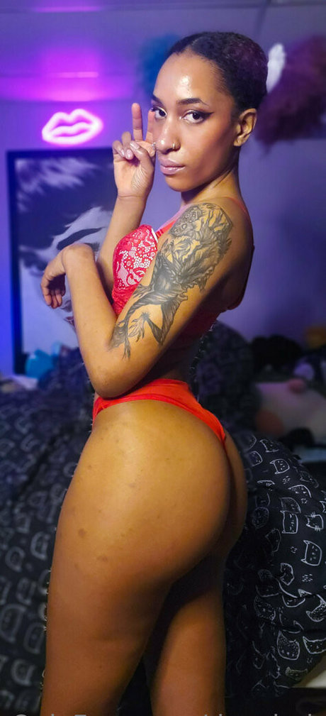 shemale fickt kerl onlyfans nacktheit freie fotos