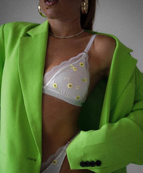 Leoobalys perfekte hd foto