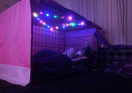 mollige emo-onlyfans porno perfekte galerien