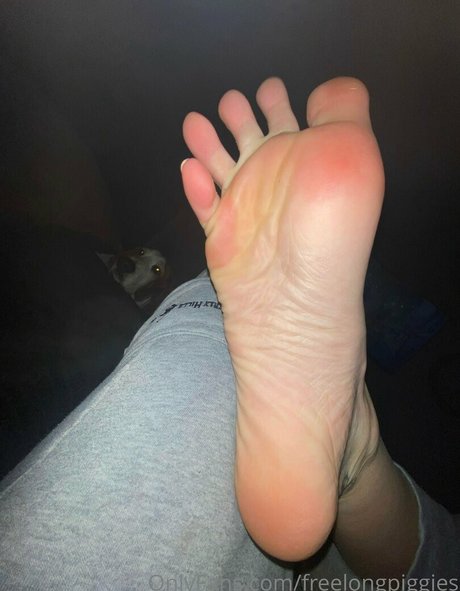 freelongpiggies schauspielerin hd galerie