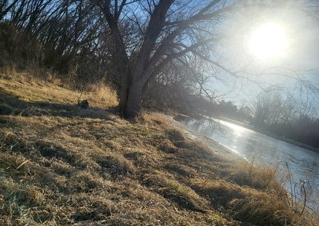 schöne latina-onlyfans perfekte porno archiv