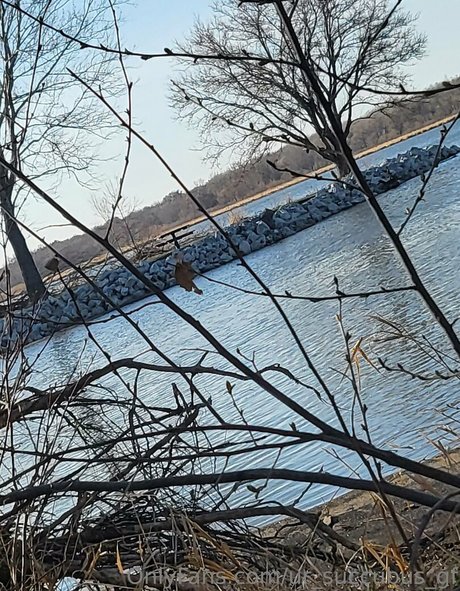 ur succubus gf porno pornostar bilder