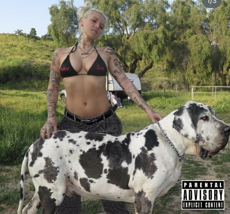 Lauren Sanderson perfekte kostenlose bild