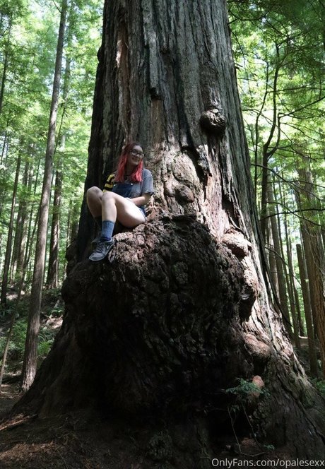 opalesexx pornostar exklusive bilder