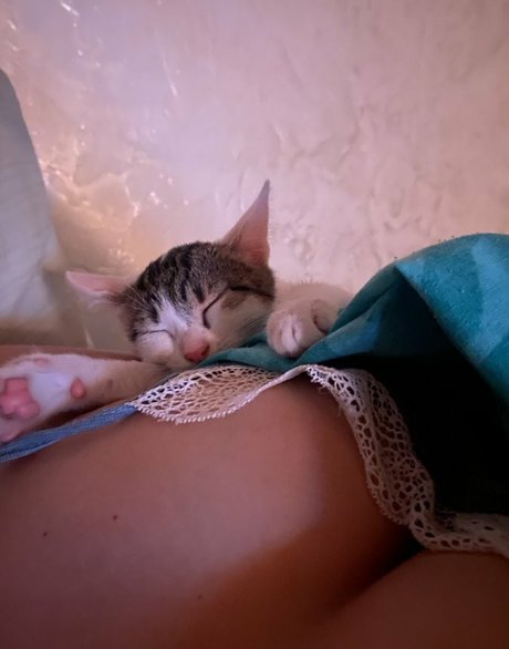 Sofuckingood13 Fotoaufnahmen