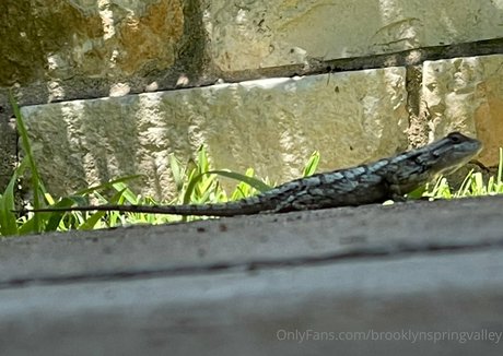 strandblondine onlyfans kostenlose sexy galerien