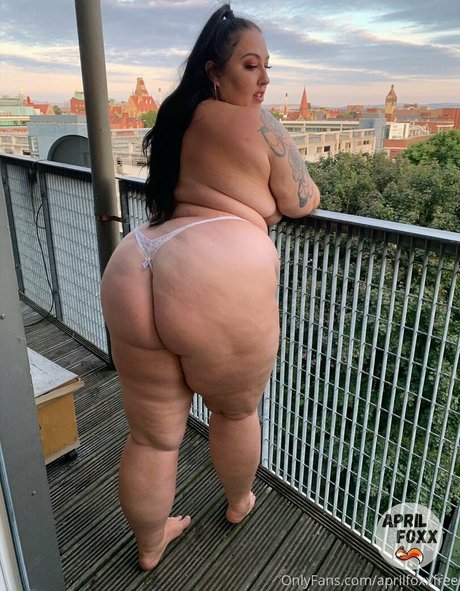 aprilfoxxfree hd kostenlose foto