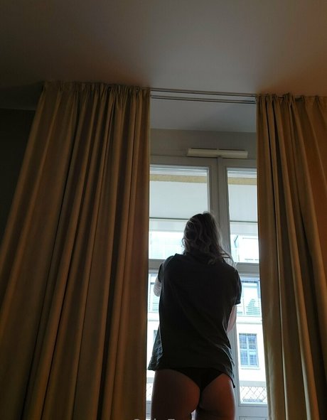 spitzmaus perfekte hd bilder