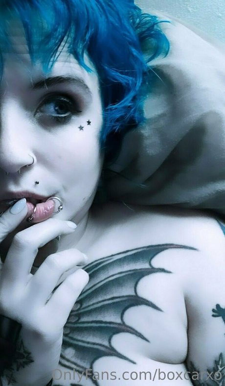 Boxcarxo perfekte freie bild