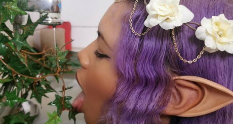 schöner blowjob nur fans xxx erwachsene galerie