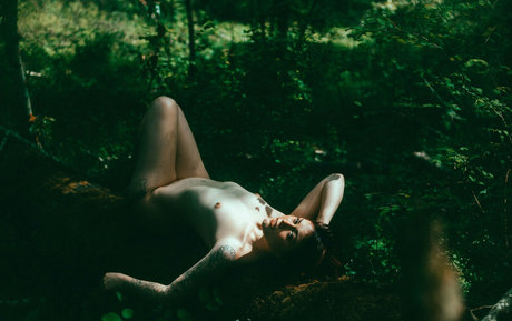 aziebugx hd kunst galerie