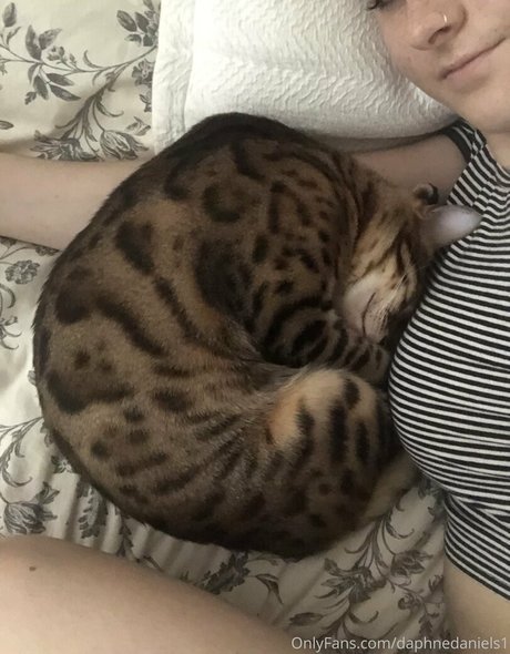 daphnedaniels1 schauspielerin xxx bild