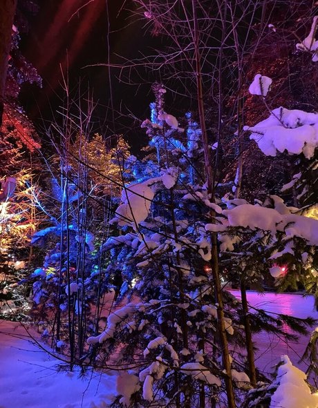 muskel-milf-onlyfans hd kostenlose galerien