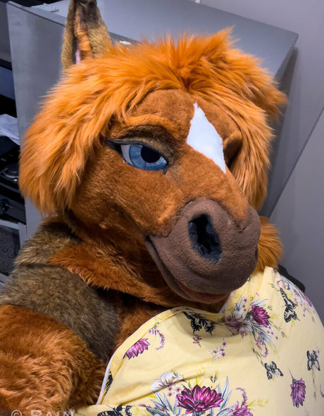 rain horsie freie sex galerie