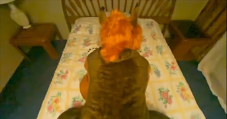 rain horsie heiße sexy galerie