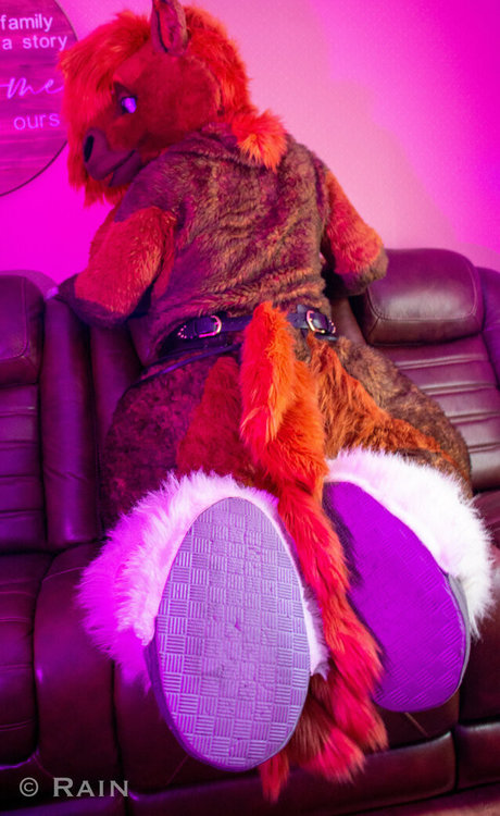 rain horsie kunst erotische foto