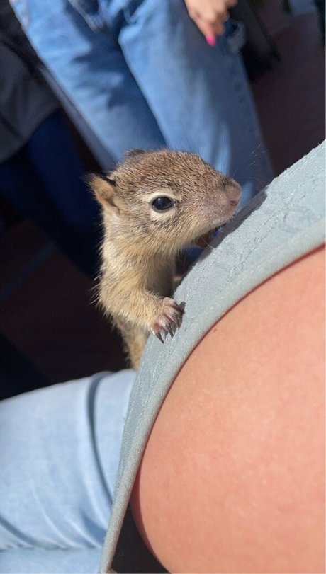 Emma R B exklusive sex bilder