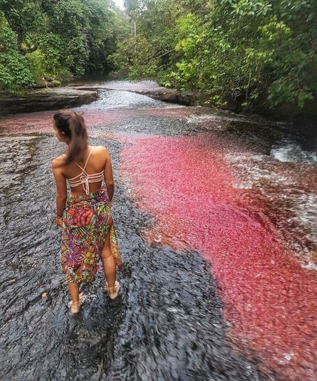 dünne blonde onlyfans kunst freie galerie