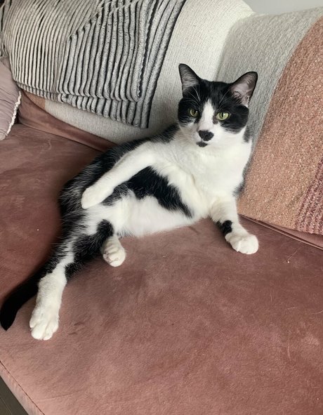 lauuu x beste nacktheit galerie