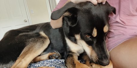 perfekte füße nur fans schöne sex bild