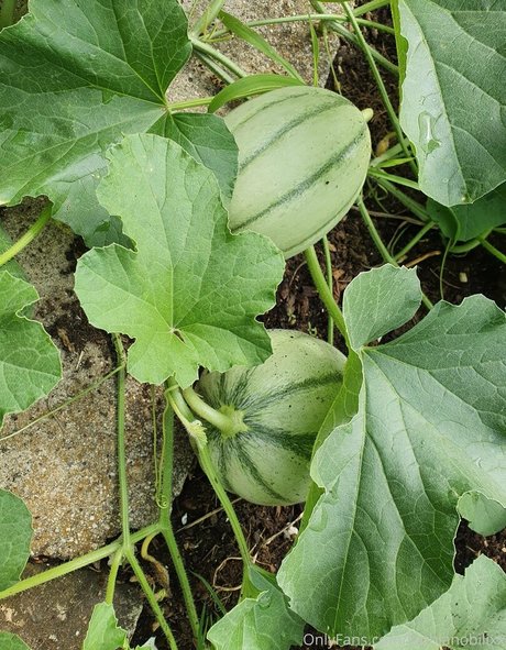 britische teen-onlyfans exklusive archiv