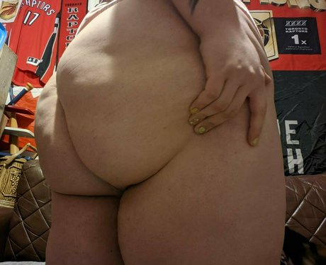 tabby cat95 freie schöne galerien