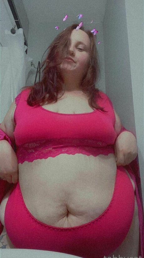 tabby cat95 kostenlose schöne bilder