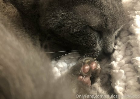 doppelte onlyfans hd nackte bild