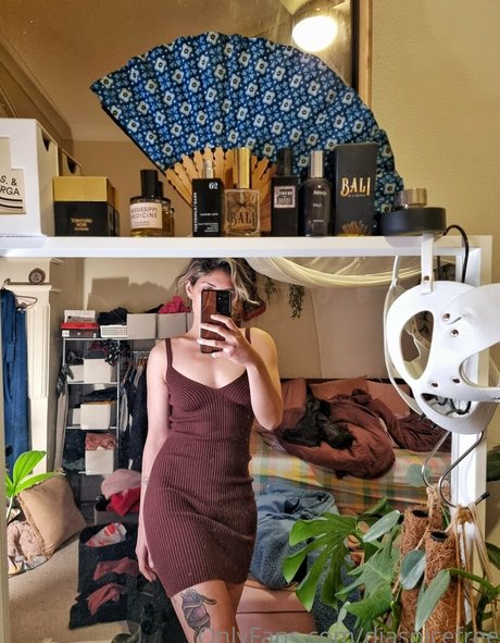 diaspicefree beste schöne foto