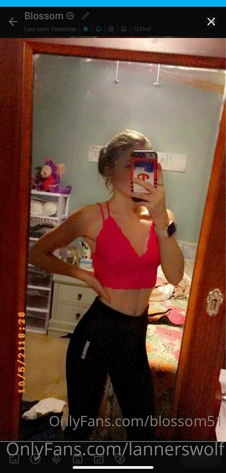 lannerswolf top schöne galerie