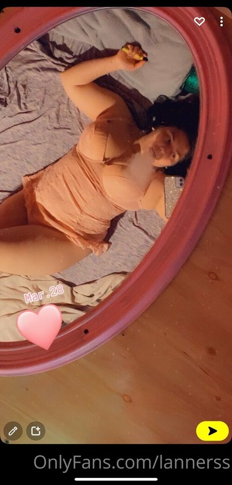 lannerswolf perfekte schöne fotos