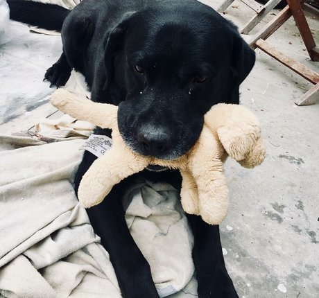 bbc betrügt onlyfans erwachsene beste galerien