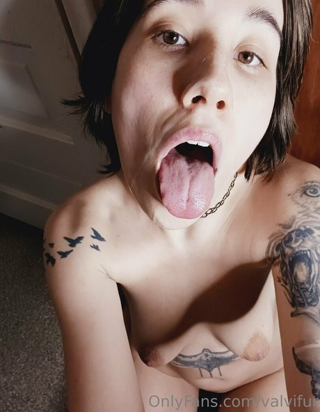 valvifur perfekte erwachsene foto