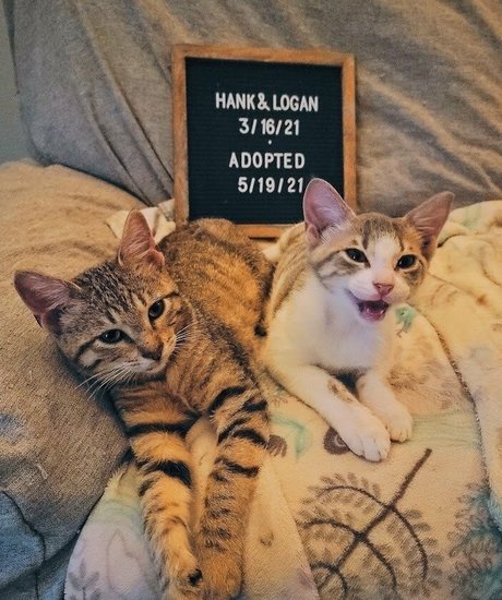 pov blowjob nur fans kunst erwachsene galerie