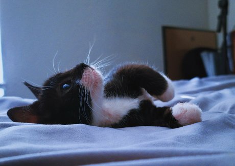 japanische amateur-onlyfans hd nackt bilder