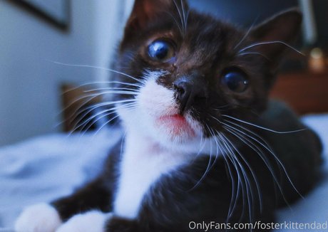 ebenholz-trans-onlyfans erotische fotos