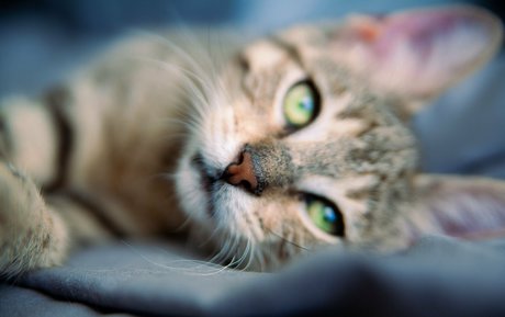 prinzessin nackt onlyfans exklusive xxx fotos