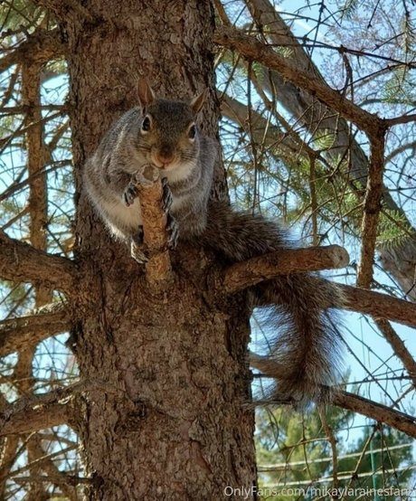 joi milf onlyfans perfekte hd bilder