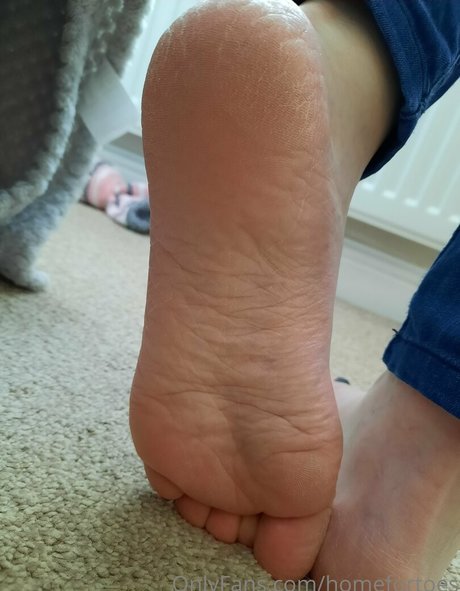 homefortoes porno kostenlose bilder