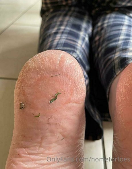 homefortoes hübsche exklusive galerie